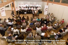 2014-11-1-lmq-1-600x450
