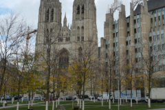 11 Kathedrale St. Michel und St. Gudula