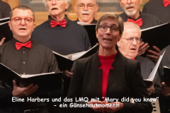 Lingener Männerquartett